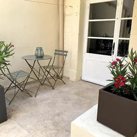 Le Nid Douillet Terrasse La Roquette Arles